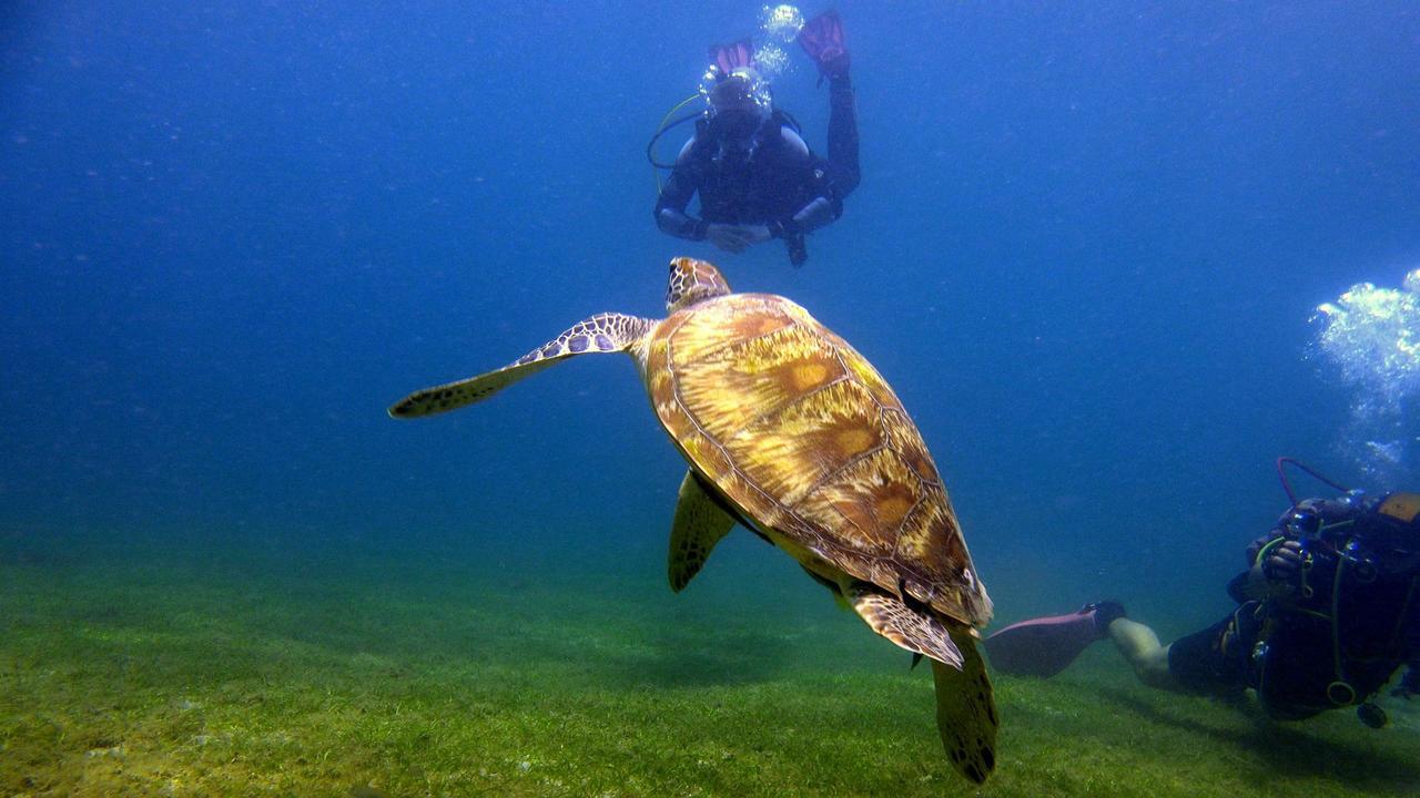 Deluna Diving Resort Puerto Galera Bagian luar foto